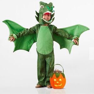 Pottery Barn Kids Dragon Halloween Costume